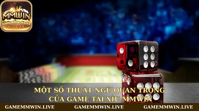 Một số thuật ngữ quan trọng của game tài xỉu Mmwin